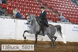13buck_5801 proof