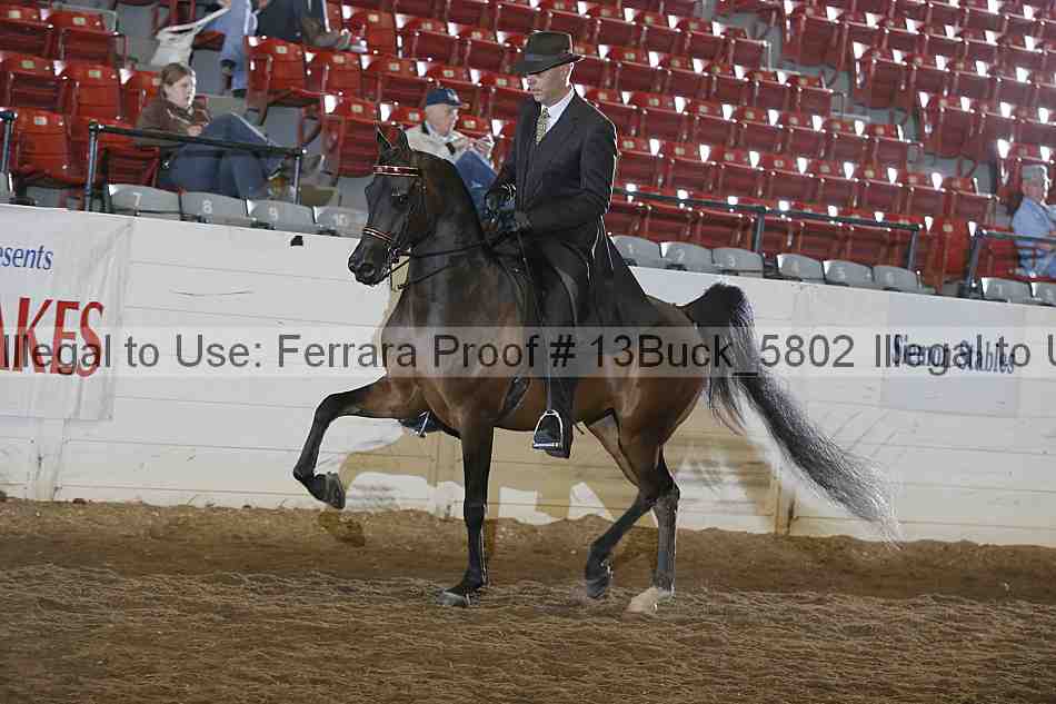 Proof 13buck_5802