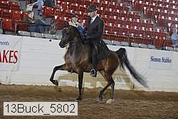 13buck_5802 proof