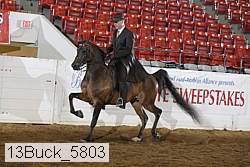 13buck_5803 proof