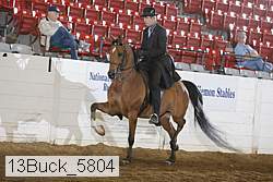 13buck_5804 proof