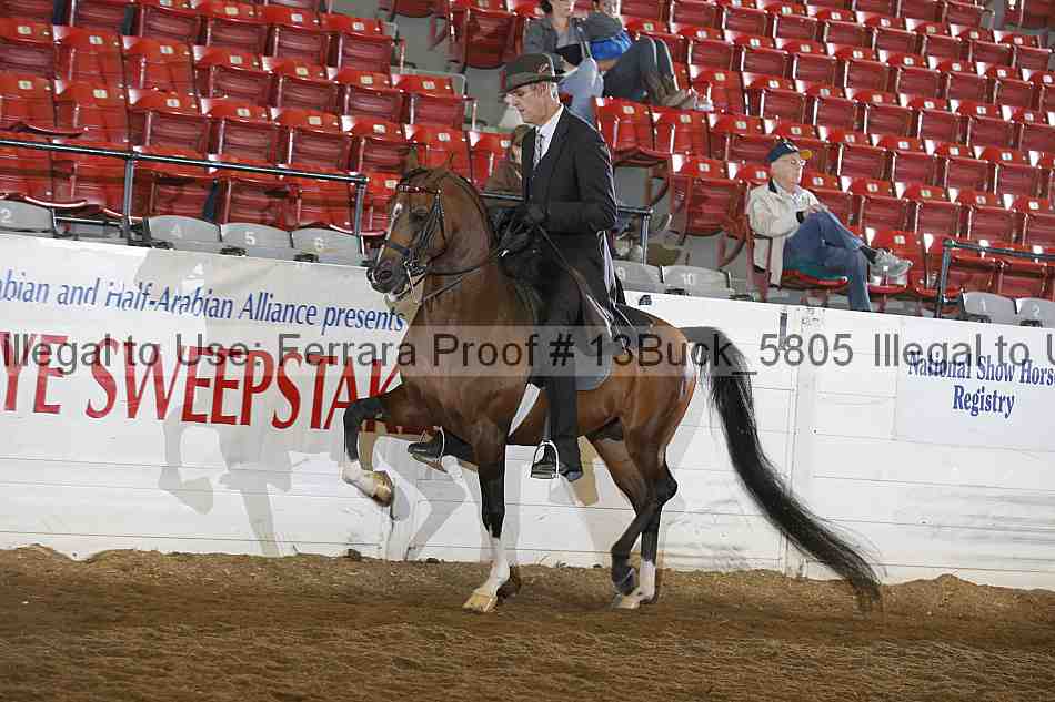 Proof 13buck_5805