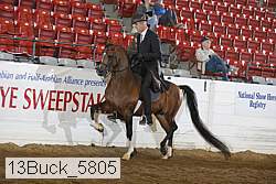 13buck_5805 proof