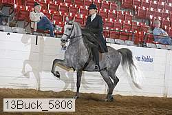 13buck_5806 proof