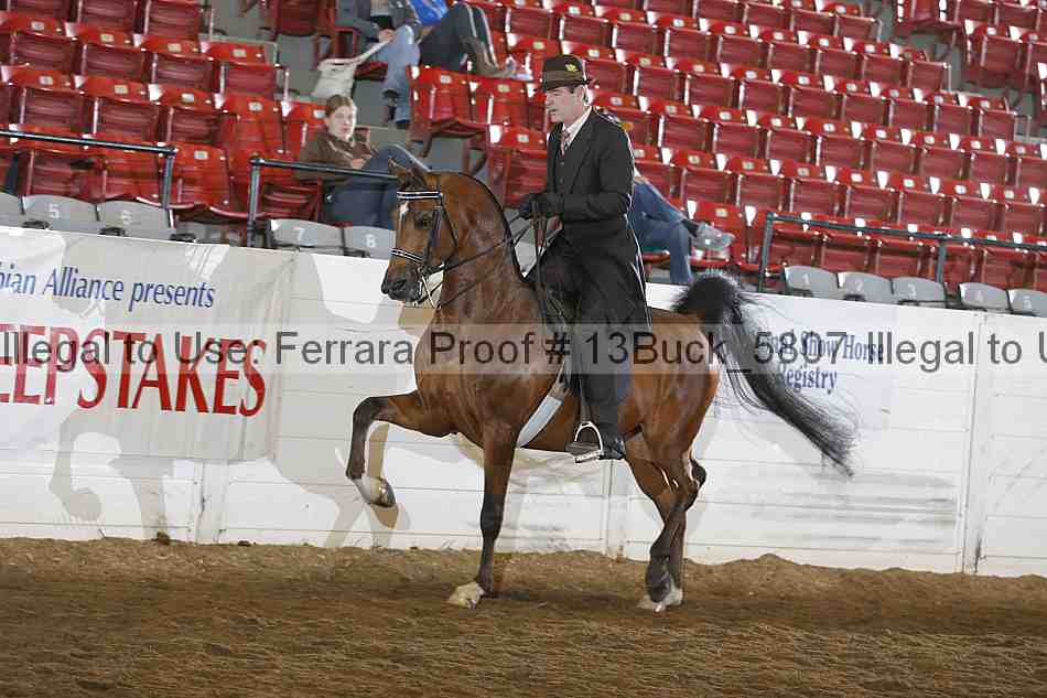 Proof 13buck_5807