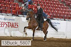 13buck_5807 proof