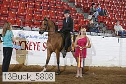 13buck_5808 proof
