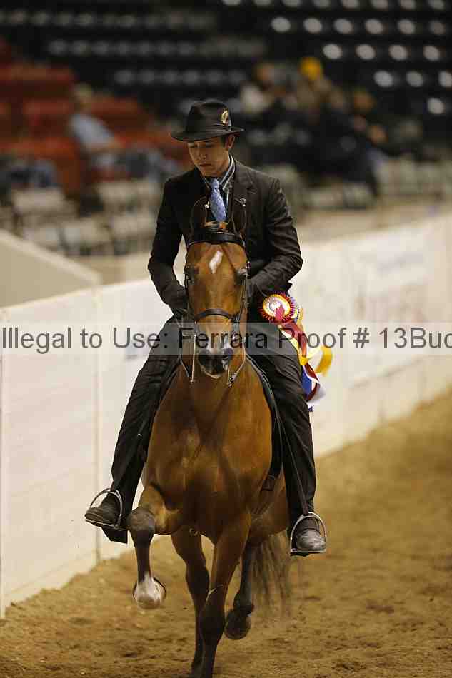 Proof 13buck_5809