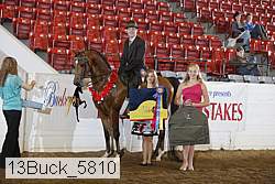 13buck_5810 proof