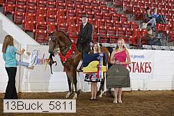 13buck_5811 proof