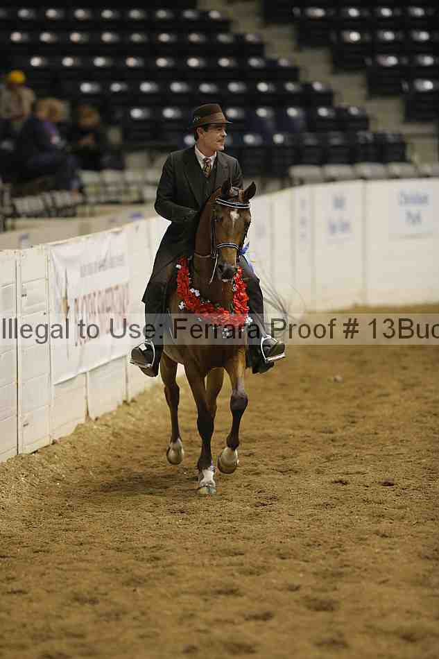 Proof 13buck_5812