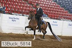 13buck_5814 proof
