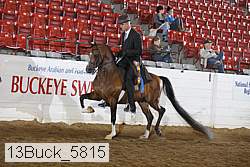 13buck_5815 proof
