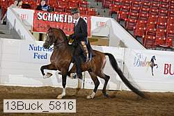 13buck_5816 proof