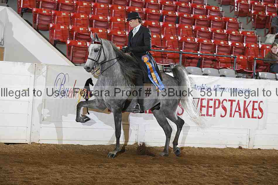 Proof 13buck_5817