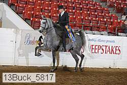 13buck_5817 proof