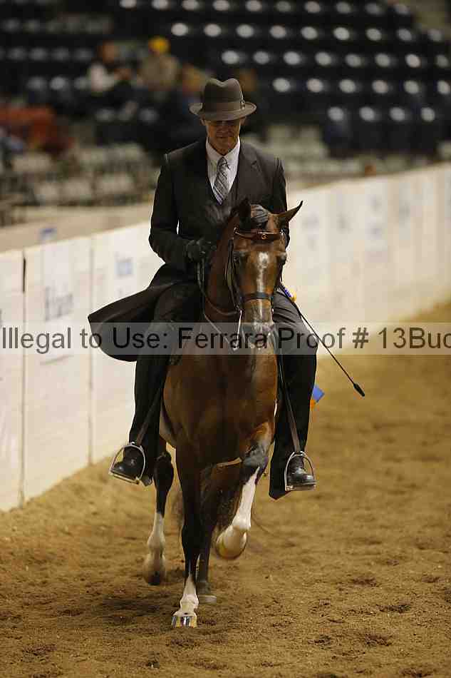 Proof 13buck_5819
