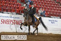 13buck_5820 proof