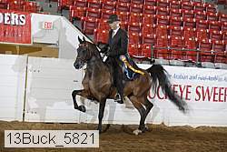 13buck_5821 proof