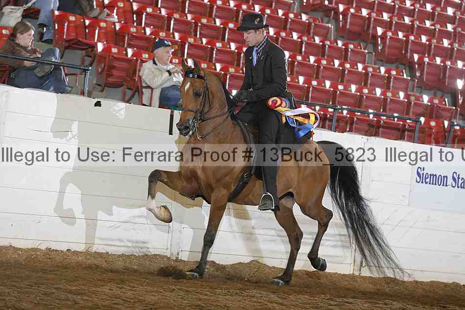 Proof 13buck_5823