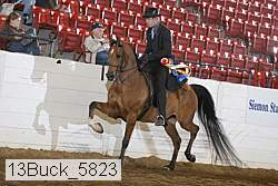 13buck_5823 proof