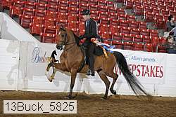 13buck_5825 proof
