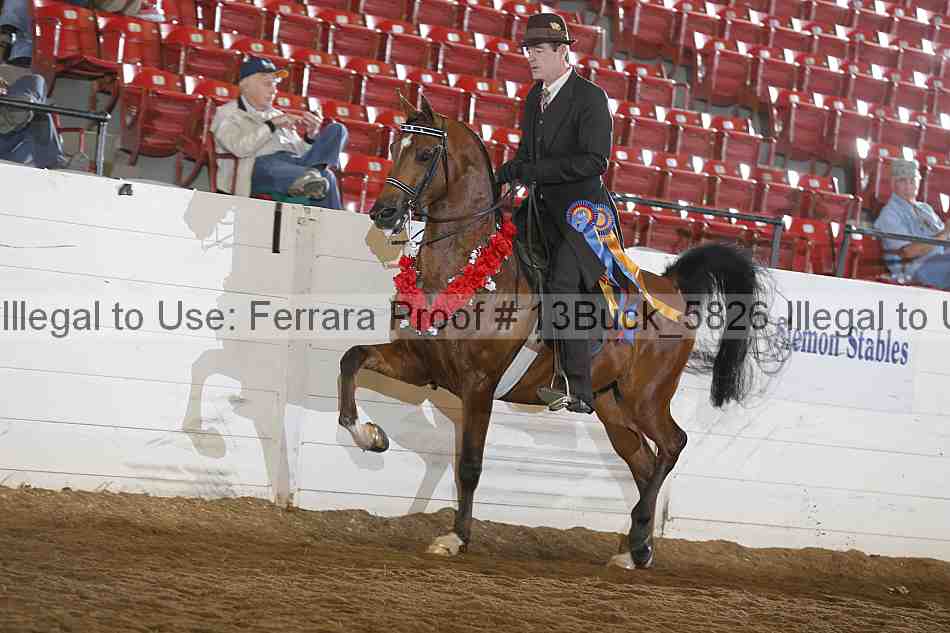 Proof 13buck_5826