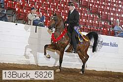 13buck_5826 proof