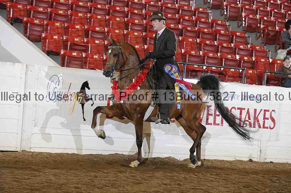 Proof 13buck_5827