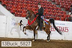 13buck_5827 proof