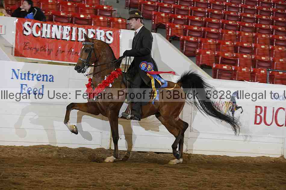 Proof 13buck_5828