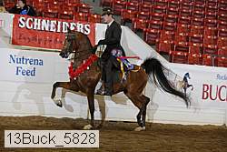 13buck_5828 proof