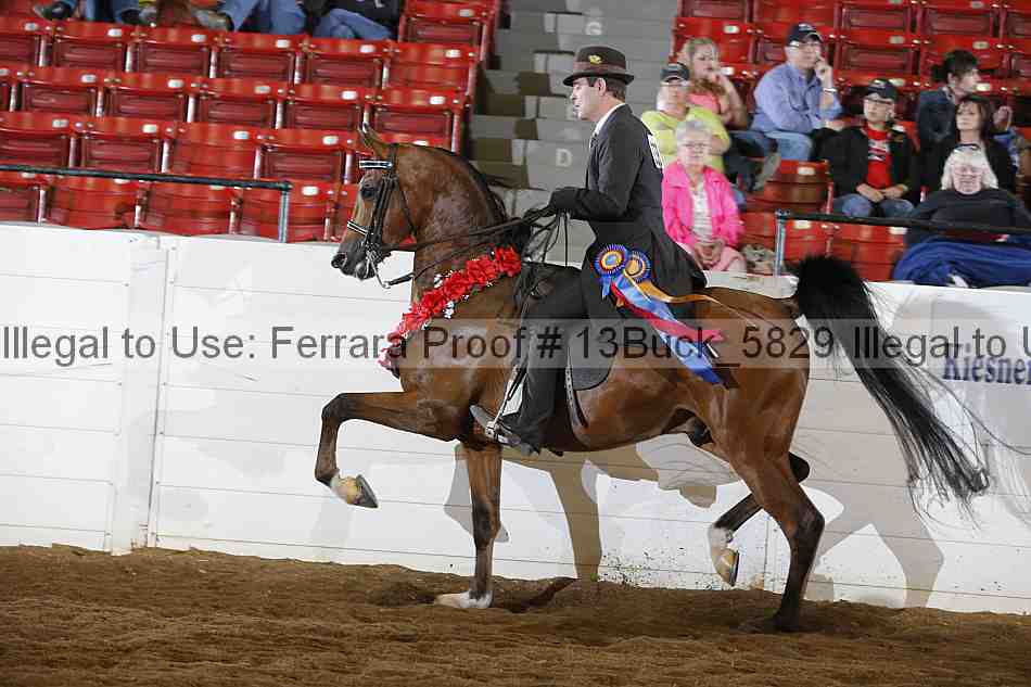 Proof 13buck_5829