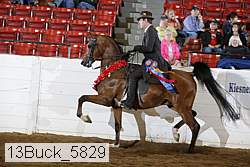 13buck_5829 proof