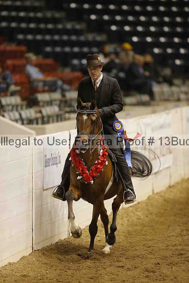 Proof 13buck_5831