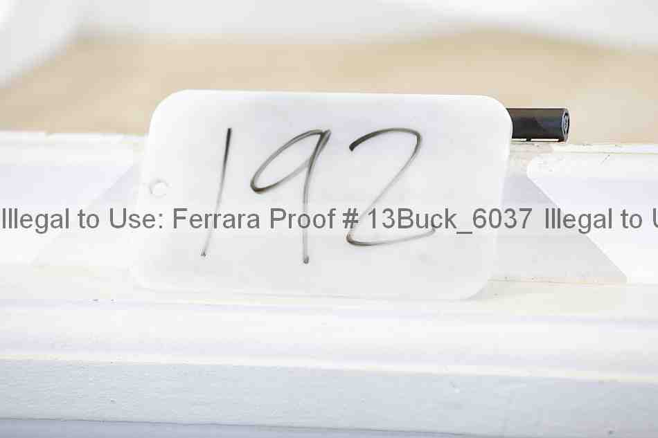 Proof 13buck_6037