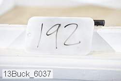 13buck_6037 proof