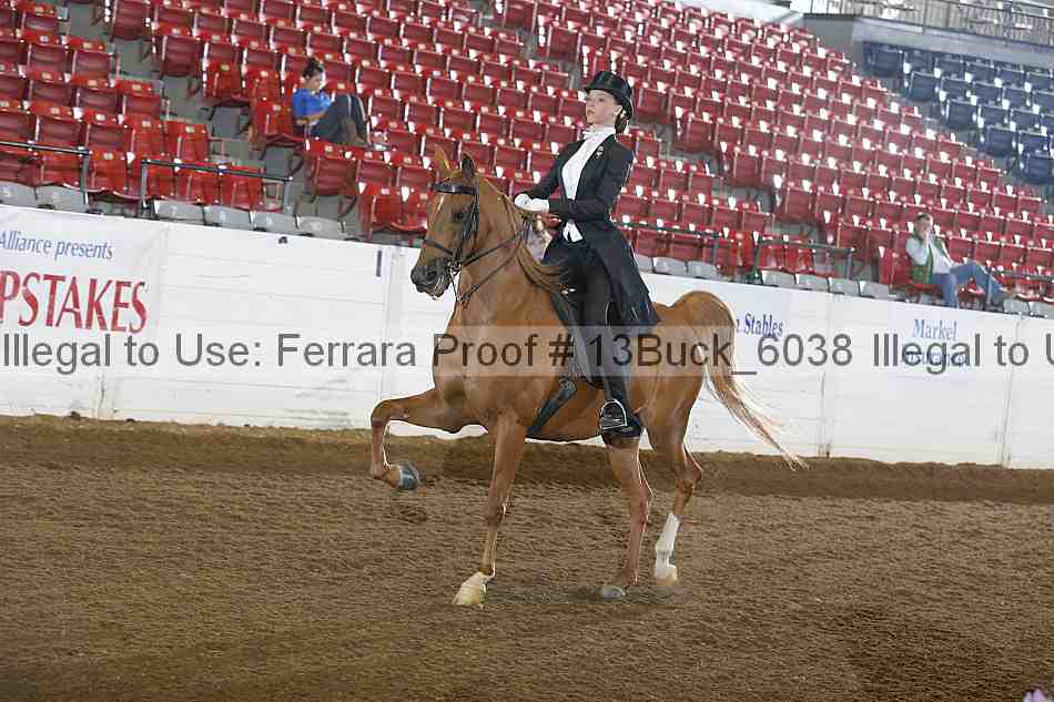 Proof 13buck_6038