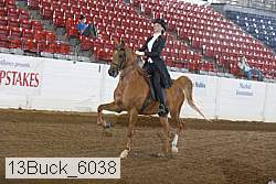 13buck_6038 proof