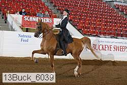 13buck_6039 proof
