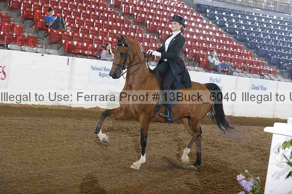 Proof 13buck_6040