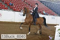 13buck_6040 proof