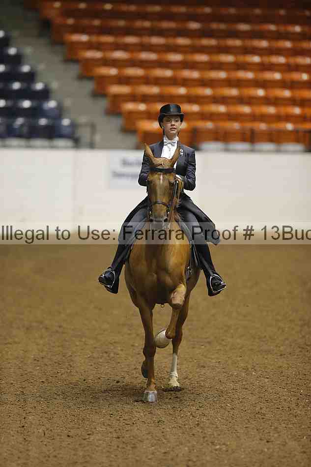 Proof 13buck_6041