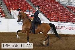 13buck_6042 proof