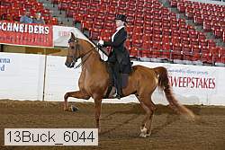 13buck_6044 proof