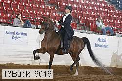 13buck_6046 proof
