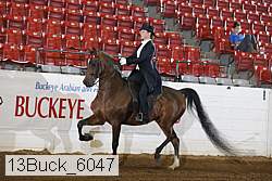13buck_6047 proof
