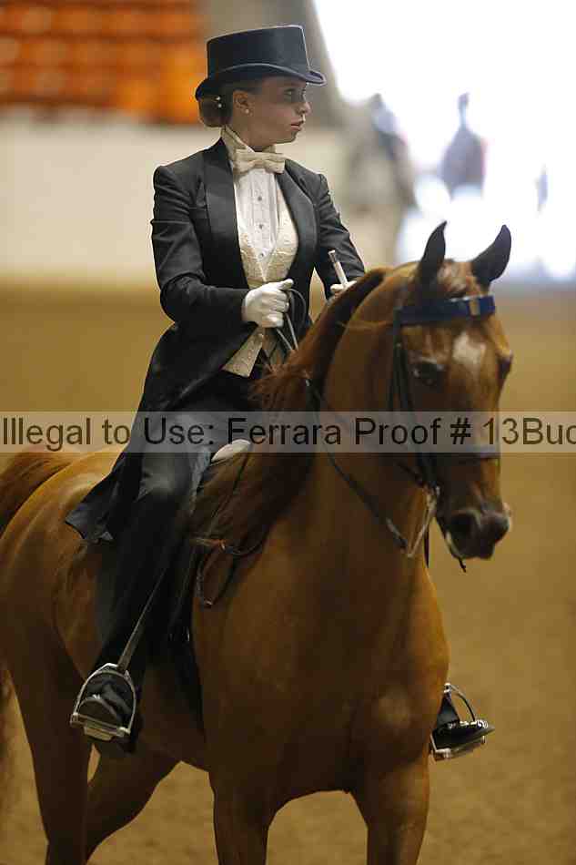 Proof 13buck_6049