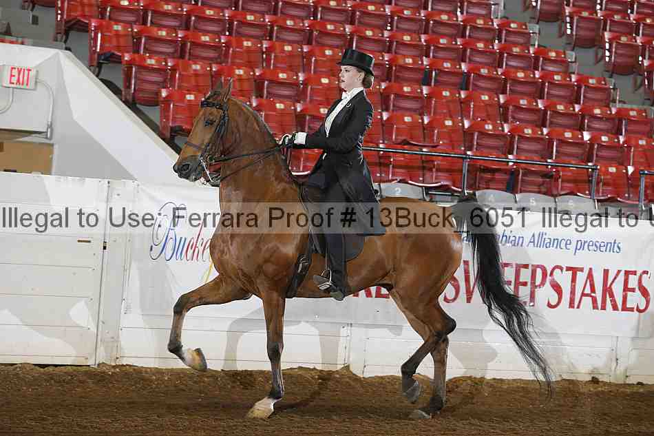 Proof 13buck_6051