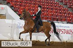 13buck_6051 proof